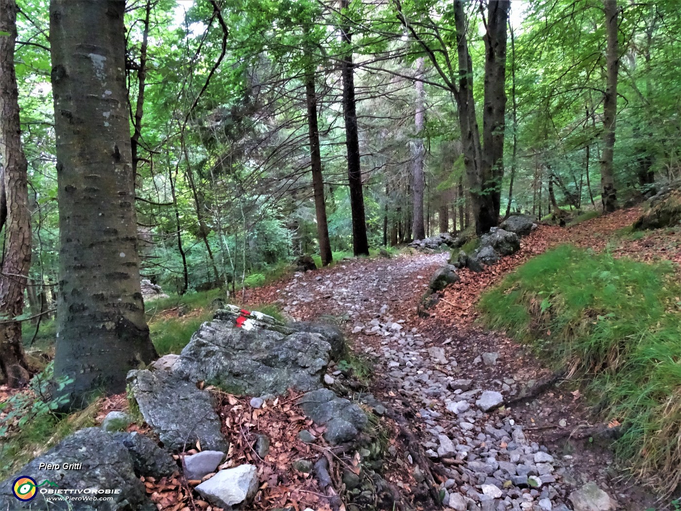 74 Sul sent. 526B scendendo dal Passo della crocetta alla Madonna del frassino.JPG